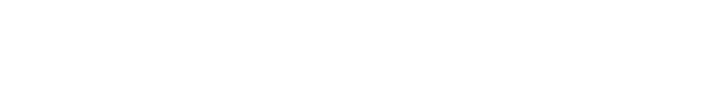 Example Image